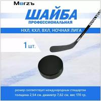 Шайба хоккейная Morzъ, D-75mm, H-24mm, Weight 170g Art.10-38s