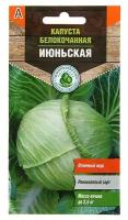 Семена Капуста белокочанная "Июньская" ранняя, 0,5 г