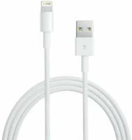 Аксессуар APPLE Lightning to USB Cable 2m MD819ZM/A для iPhone 5 / 5S / SE/iPod Touch 5th/iPod Nano 7th/iPad 4/iPad mini