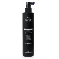 Спрей Hair Company Transforming Spray, 300 мл