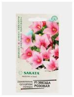 Семена. Платикодон "Звезда розовая F1", крупноцветковый, Саката ( 1 ууп: 4 семени )