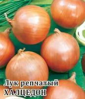 Семена Лук репчатый Халцедон, 50г, Гавриш, Фермерское подворье