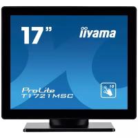 17" Монитор Iiyama ProLite T1721MSC-1, 1280x1024, 75 Гц, TN