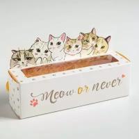 Коробочка для макарун "Meow or never", 18 x 5,5 x 5,5 см