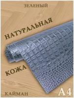 Кожа натуральная/Формат А4/Кожа рептилии Кайман 1,0-1,2мм цв. темно-зеленый крокодил