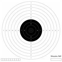 Мишень для пневматики Калашников "№9"