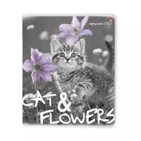 Тетради 48 листов серия "котята И цветы". Набор 5 шт. Цена за 5 штук