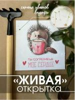 "Живая открытка" от Istok EcoShop