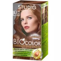 Essem Hair Studio Professional BioColor стойкая крем-краска для волос