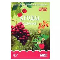 _НаглядДидактПос(МозаикаС) МирВКартинках_СоотвФГОС Ягоды садовые 3-7 лет (Минишева Т.) (8 листов в папке)