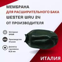 Мембрана для расширительного бака Wester WRV 24 (membrRBWRV24)