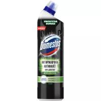 Domestos чистящее средство для унитаза Антиржавчина и Антиналет Лайм