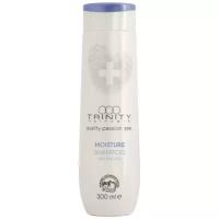 Trinity Care Essentials Moisture Shampoo - Тринити Кейр Эссеншлс Мойсче Шампунь увлажняющий, 300 мл -