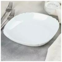 Тарелка суповая Lotusia, 550 мл, d-22 см, цвет белый, 6 шт
