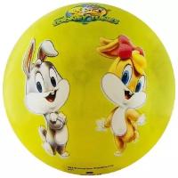 Мяч детский Looney Tunes арт.WB-LT-001 23 см, салатовый (1124795)