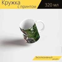 Кружка с рисунком, принтом "Бернский зенненхунд, собака, поле" 320 мл