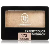 TF Cosmetics Тени для век Expert Color Iconic 172