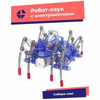 Робот паук, Робототехника, Конструктор с моторчиком, Паук робот с питанием от батарейки
