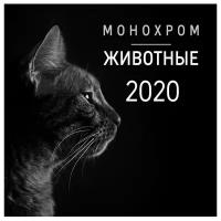 Календарь перекидной настенный на 2020 год "Монохром. Животные"