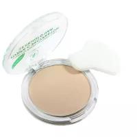 TF Cosmetics Компактная пудра с экстрактом зелёного чая 02 Светлый цвет слоновой кости