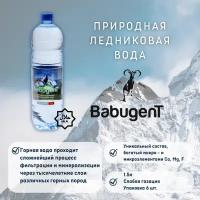 Питьевая газированная минеральная вода ледникового происхождения BabugenT (слабой газации)