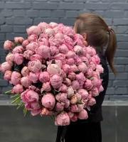Букет Пионы розовые 101 шт, красивый букет цветов, шикарный, премиум цветы, пионов