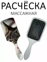 Расческа для волос массажная Hair Care с принтом "Милые котики" белая