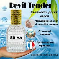 Масляные духи Devil Tender, женский аромат, 50 мл