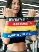 Набор замкнутых эспандеров Harper Gym Pro Series NT18006 4 шт (нагрузка 4,5/6,5/13/16 кг)