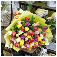 Букет из разноцветных тюльпанов (51 тюльпан)