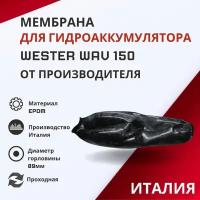 Мембрана для гидроаккумулятора Wester WAV 150, проходная (membrGAWAV150)