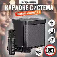 Беспроводная караоке система с двумя микрофонами, bluetooth колонка 2 в 1