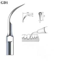Насадка GD1 для скалера ультразвукового стоматологического, для снятия зубных отложений (подходит к DTE, Satelec, NSK) . 1 шт