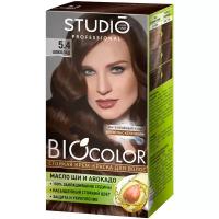 Essem Hair Studio Professional BioColor стойкая крем-краска для волос