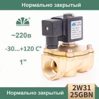 Соленоидный клапан электромагнитный 2W31-25(1") 220В