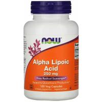 Alpha Lipoic Acid капс., 250 мг, 110 г, 120 шт