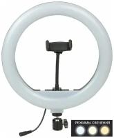 Селфи лампа кольцо 30см со штативом для блогера Selfie Ring Light YQ-320A с пультом