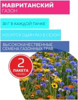 Газон Мавританский 2 пакета по 30г семян