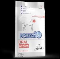 Форца10, Для Собак при проблемах с ротовой полостью, Рыба (Forza10, Oral Active, Pesce) (4 кг)