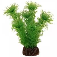 Растение 1393 "Амбулия" зеленая, 100мм, (пакет)