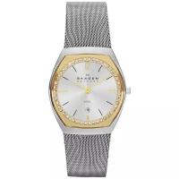 Наручные часы SKAGEN SKW2050