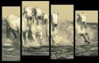 Модульная картина Белые лошади 106х66 см