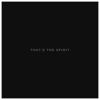 BRING ME THE HORIZON THAT’S THE SPIRIT LP+CD Gatefold 12" винил