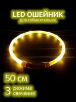 Светящийся ошейник для собак / Желтый 50см / Светодиодный LED ошейник для собак / Дрессировка / Поводок