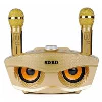 SDRD SD-306 - bluetooth колонка-караоке с беспроводными микрофонами (Золото)