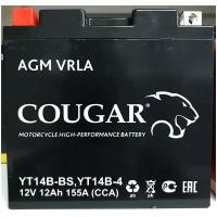 Аккумулятор мотоциклетный Cougar AGM YT14B- BS 12V 12Ah (залит и готов к применению)