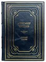 Пушкин А. С. - Евгений Онегин. Подарочная книга в переплёте из натуральной кожи