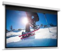 Экран для проектора Projecta DescenderPro 95" 10104764 Matte White