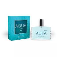 TODAY PARFUM Туалетная вода мужская Aqua Blue, 100 мл