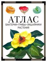 Бактерии, грибы, лишайники, растения: атлас. 4-е изд. Черепанов И. В. мцнмо